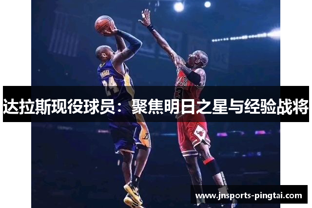达拉斯现役球员：聚焦明日之星与经验战将